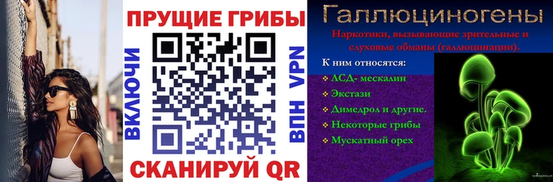 Купить закладки Янаул Псилоцибиновые грибы Psilocybine cubensis